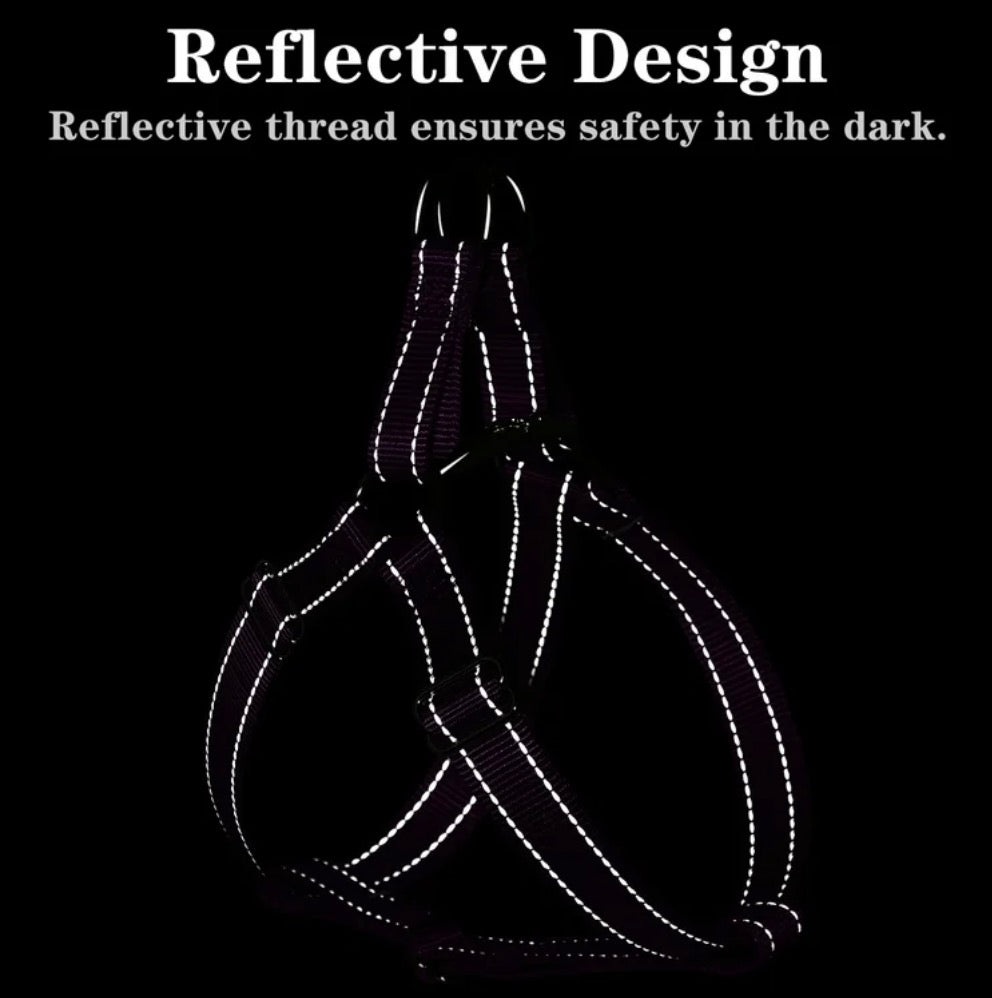 Plutus Pet Step In Dog Harness, Reflective, Adjustable, and Secure with Metal Buckles, for Medium Dogs