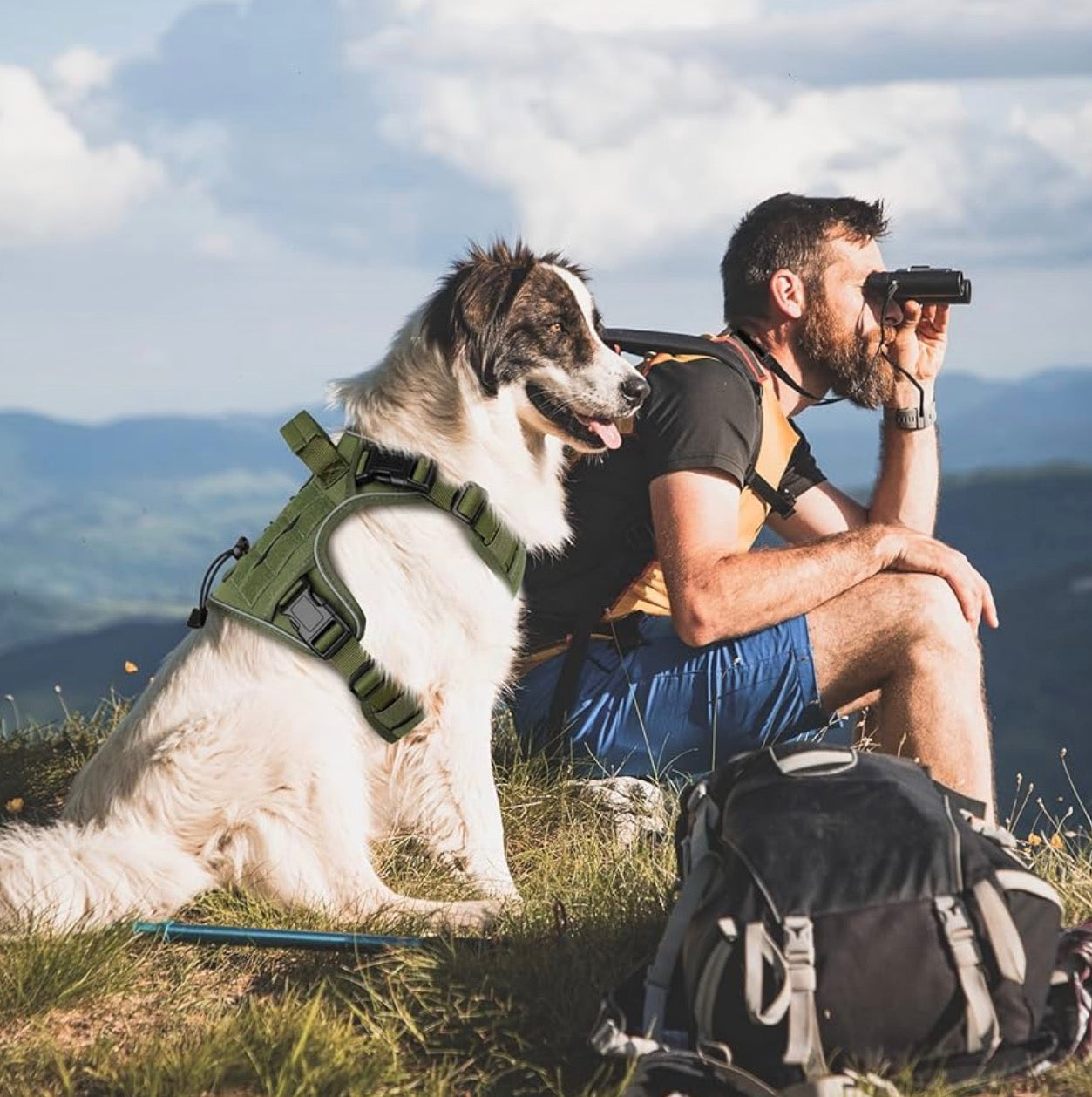 WINGOIN Green Tactical Dog Harness for Medium Dogs, size M: 30-50 lbs (Chest:24-28",Neck:17-19") Heavy Duty No Pull Dog Harness with Handle, Adjustable Reflective Military K9 Pet Vest for Pitbull, Female, Male, Walking, Training, Hunting (M)