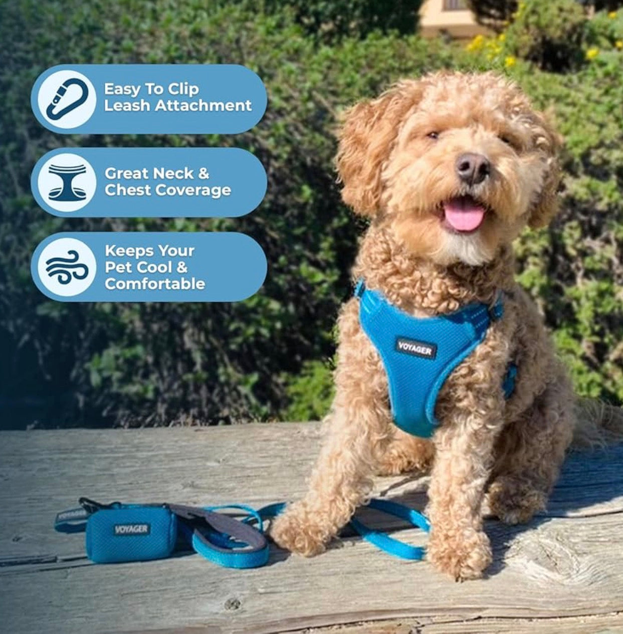 Voyager Mesh Dog Breathable Harness size small Reflective Stitching, All Weather Adjustable for Walking Training, or Running - Heavy Duty & Durable, Harness (Turquoise), S