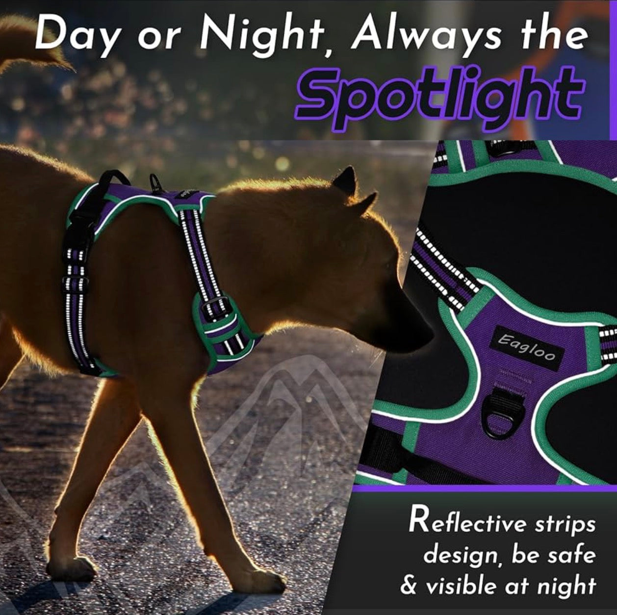 Eagloo Dog Harness for Large Dogs, chest girths between 15-35.4 inches No Pull Service Vest with Reflective Strips and Control Handle, Adjustable and Comfortable for Walking, No Choke Pet Harness with 2 Metal Rings, Purple & Green, L