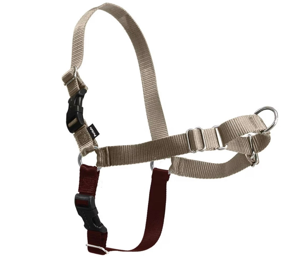 PetSafe Easy Walk Harness, No Pull Dog Harness