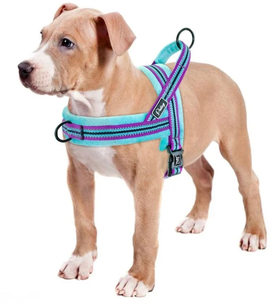 Didog Soft Flannel Padded Dog Vest Harness, Medium :Chest for 21-27.5" Escape Proof/Quick Fit Reflective Dog Strap Harness,Easy for Walking Training(Blue,M)