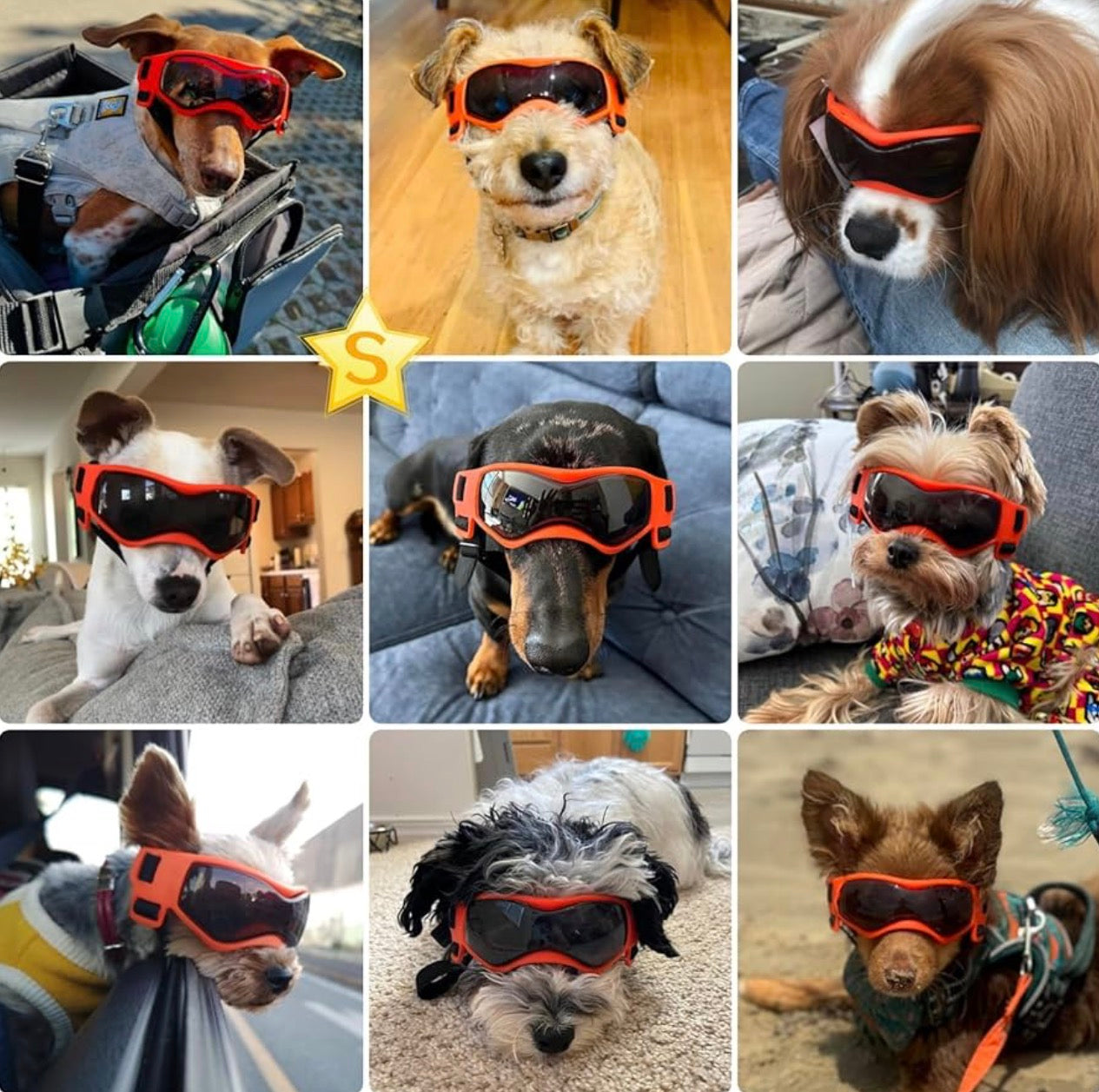 PETLESO Dog Goggles Small Breed, Dog Sunglasses UV Protection Puppy Eyewear for Small Pet Outdoor Riding Driving, Orange S