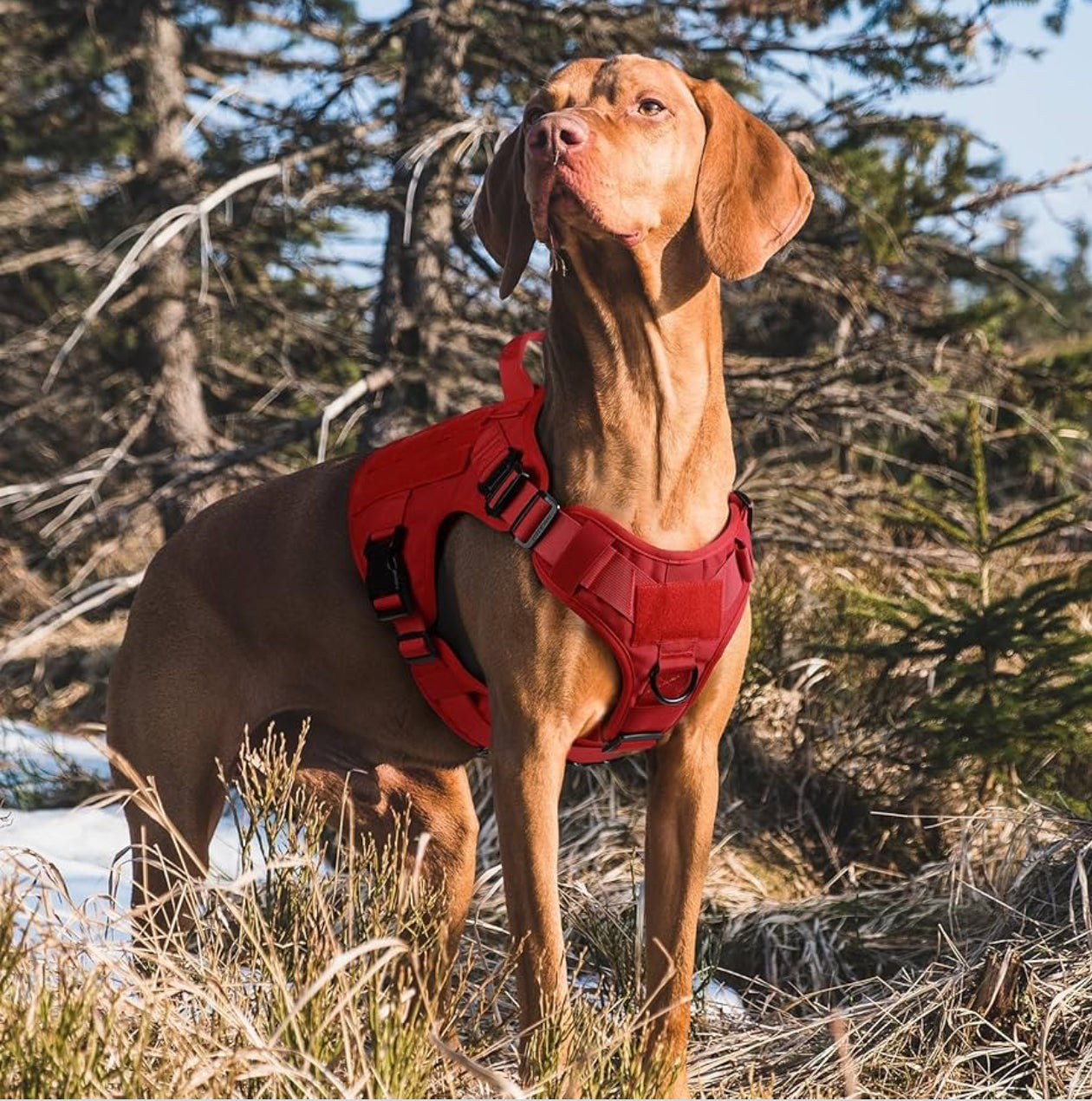 rabbitgoo Tactical Dog Harness for Large Dogs, Heavy Duty Dog Harness with Handle, No-Pull Service Dog Vest Large Breed, Adjustable Military Dog Vest Harness for Training Hunting Walking, Red, XL
