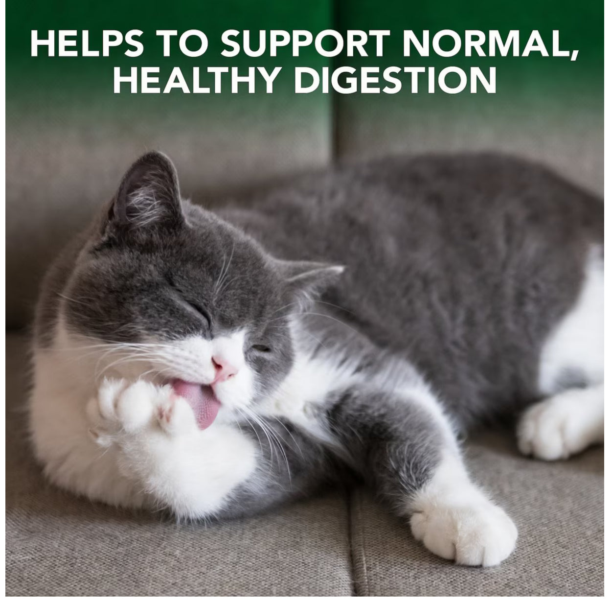 Vet's Best Chewable Tablets Hairball Control Supplement for Cats, 180 count