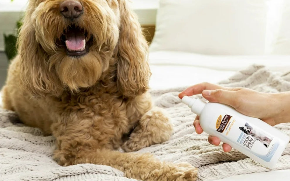 Palmer's For Pets Direct Relief Dog Lotion Spray with Cocoa Butter 8 oz