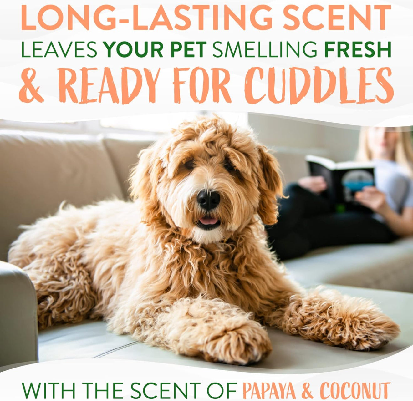TropiClean Papaya Dog Perfume Spray Long Lasting | Naturally Derived Odor Removing Dog Deodorizing Spray | Cat Friendly | Made in USA | 8 oz.