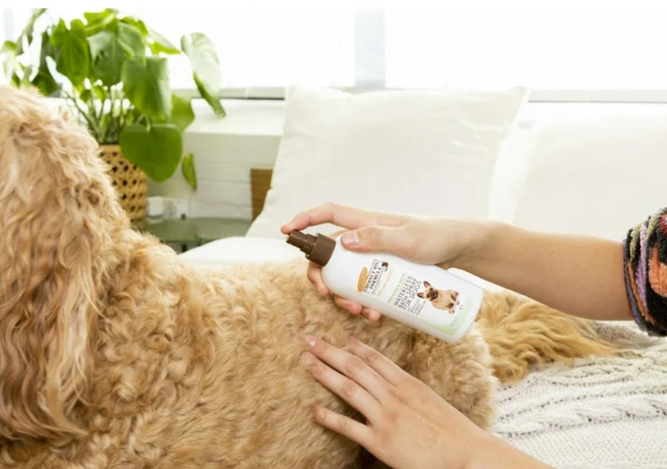 Palmer's For Pets Direct Relief Dog Lotion Spray with Cocoa Butter 8 oz