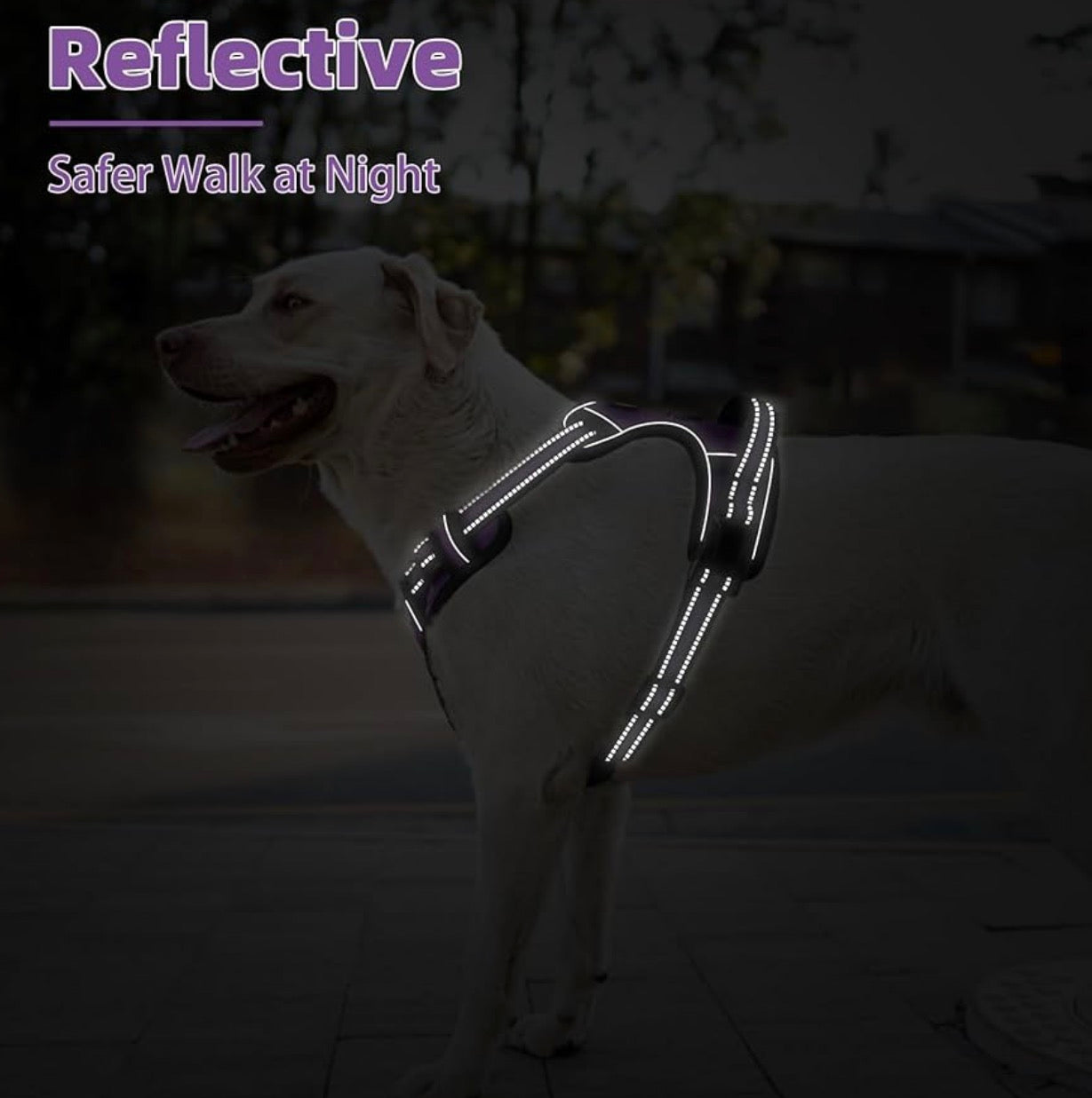 PUPTECK No Pull Dog Harness Small Sized, Adjustable Reflective Dog Harness with Handle Easy Control, Comfortable Soft Padded Pet Vest Harness for Small Dogs, Solid Purple S