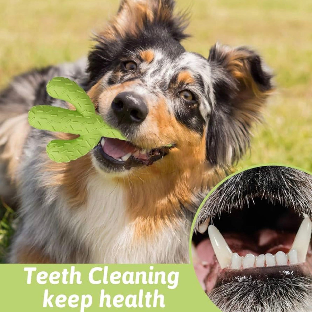 MewaJump Dog Chew Toy, Durable Rubber Dog Toy for Aggressive Chewers, for Training and Cleaning Teeth, for Medium/Large Dog