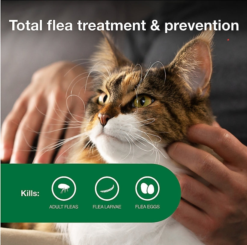 Advantage® II Over 9 lbs Cat Flea Prevention & Treatment 6 monthly doses