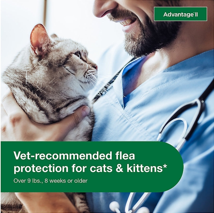 Advantage® II Over 9 lbs Cat Flea Prevention & Treatment 6 monthly doses
