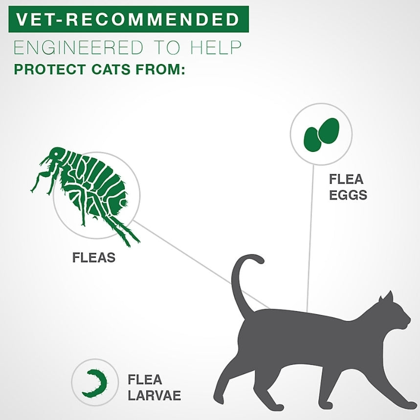 Advantage® II Over 9 lbs Cat Flea Prevention & Treatment 6 monthly doses