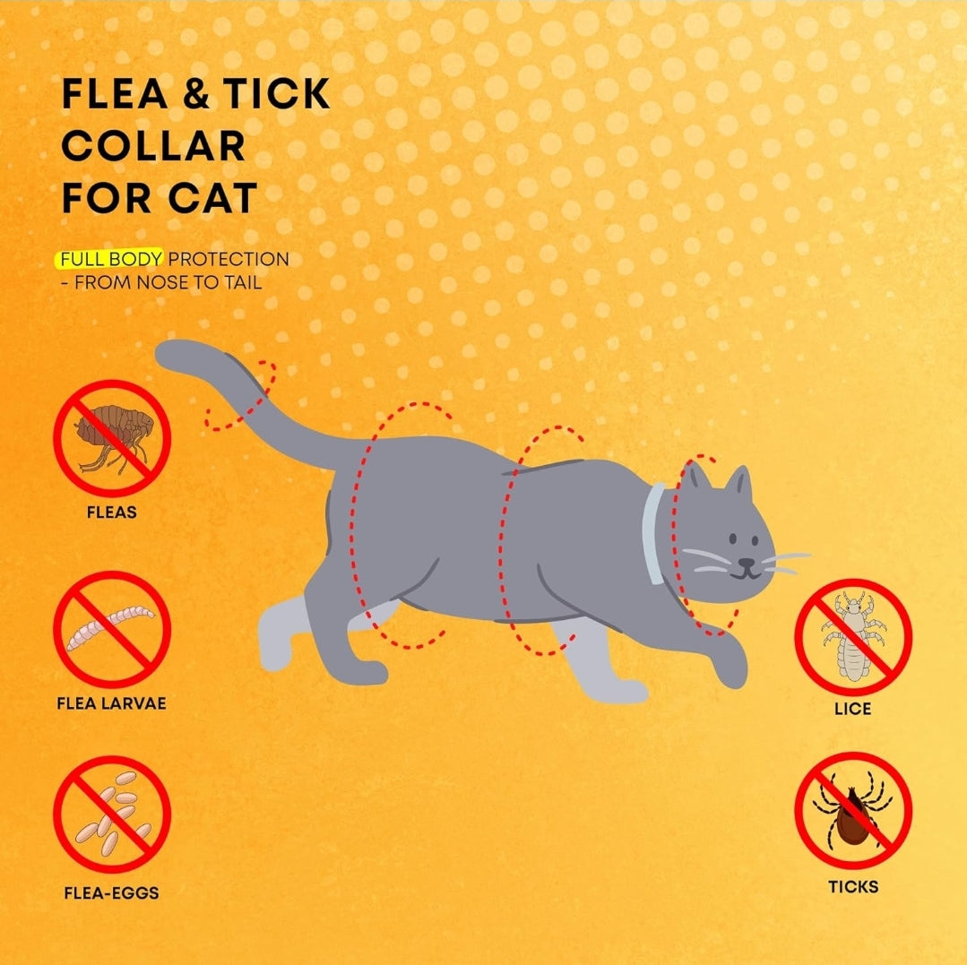 ProElobara Cat Flea Tick Prevention Collars: Flea Collars for Cats Fleas Repellent Collars - Tick Prevention Collars for Cats Ticks Control for Kitten - 4 Pack 24 Month Protection