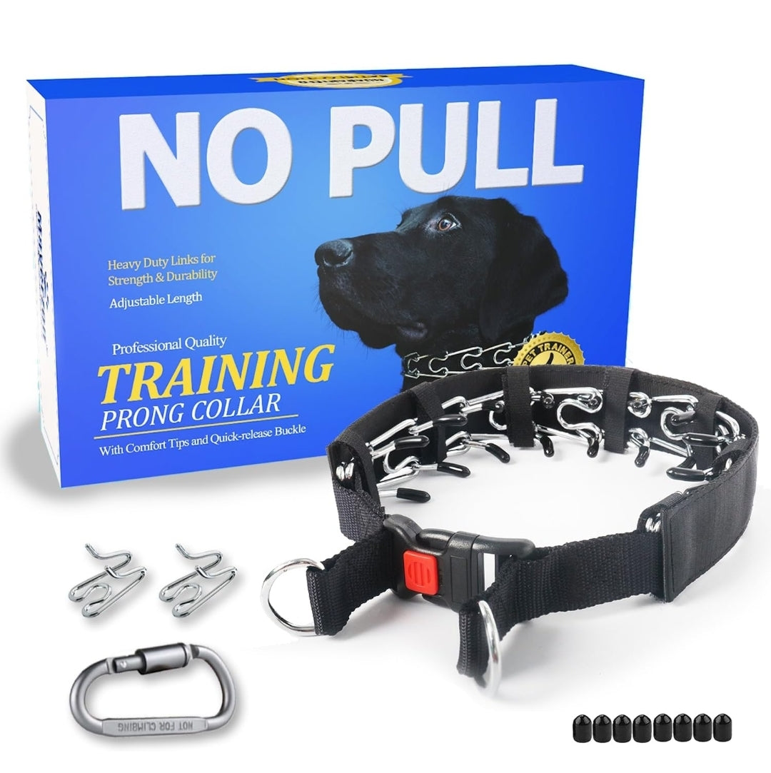 Mayerzon Dog Pinch Collar, Prong Collar for Large Dogs, Adjustable No Pull Dog Collar with Quick Release Buckle, Packaged with Extra Prong Collar Links and Carabiner