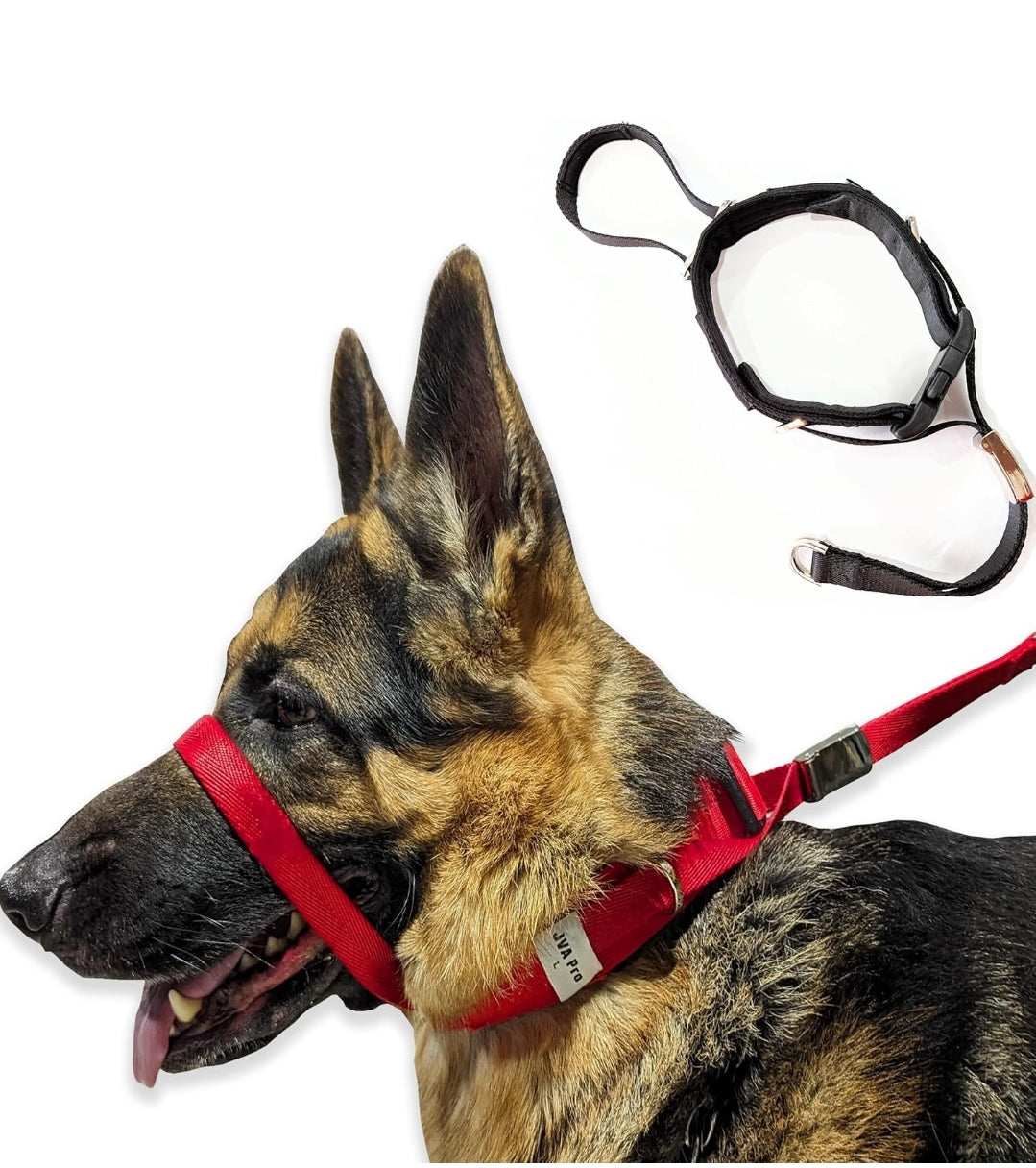JVA pro Dog Headcollar for Large Dogs (L), No-Pull Dog Collar for Large Dog. This No-Pull Dog Headcollar does not harm or hurt your dog and works better than under head pull collar; Dog Headcollar No Pull