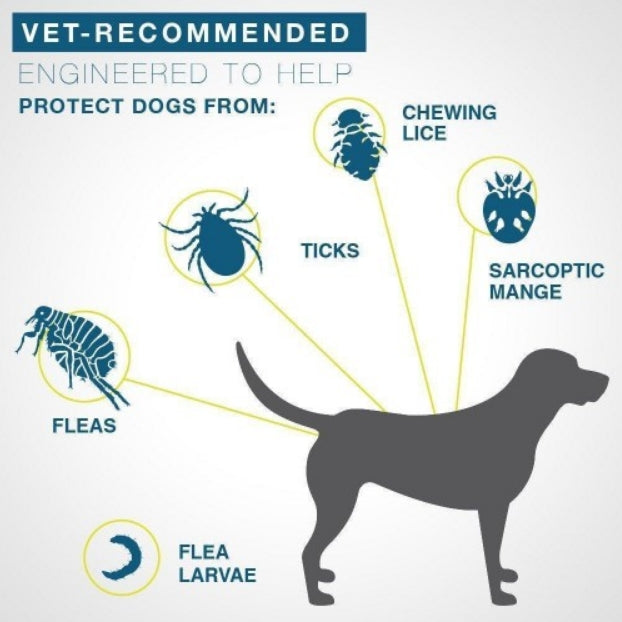 Seresto Flea and Tick Collar for Large Dogs 8-Month Tick and Flea Control for Large Dogs Over 18 lbs