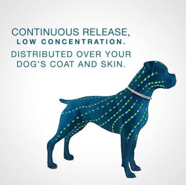 Seresto Flea and Tick Collar for Large Dogs 8-Month Tick and Flea Control for Large Dogs Over 18 lbs