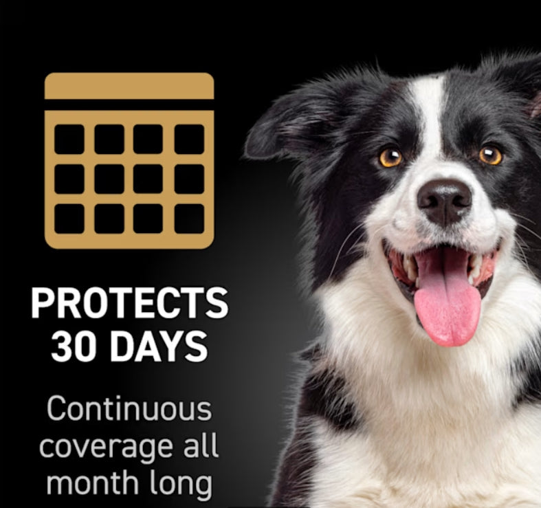 Nextstar Flea & Tick Topical Prevention for Dogs 23-44 lbs., 3 Month Supply