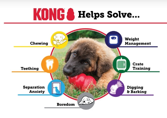 Kong Puppy Toy