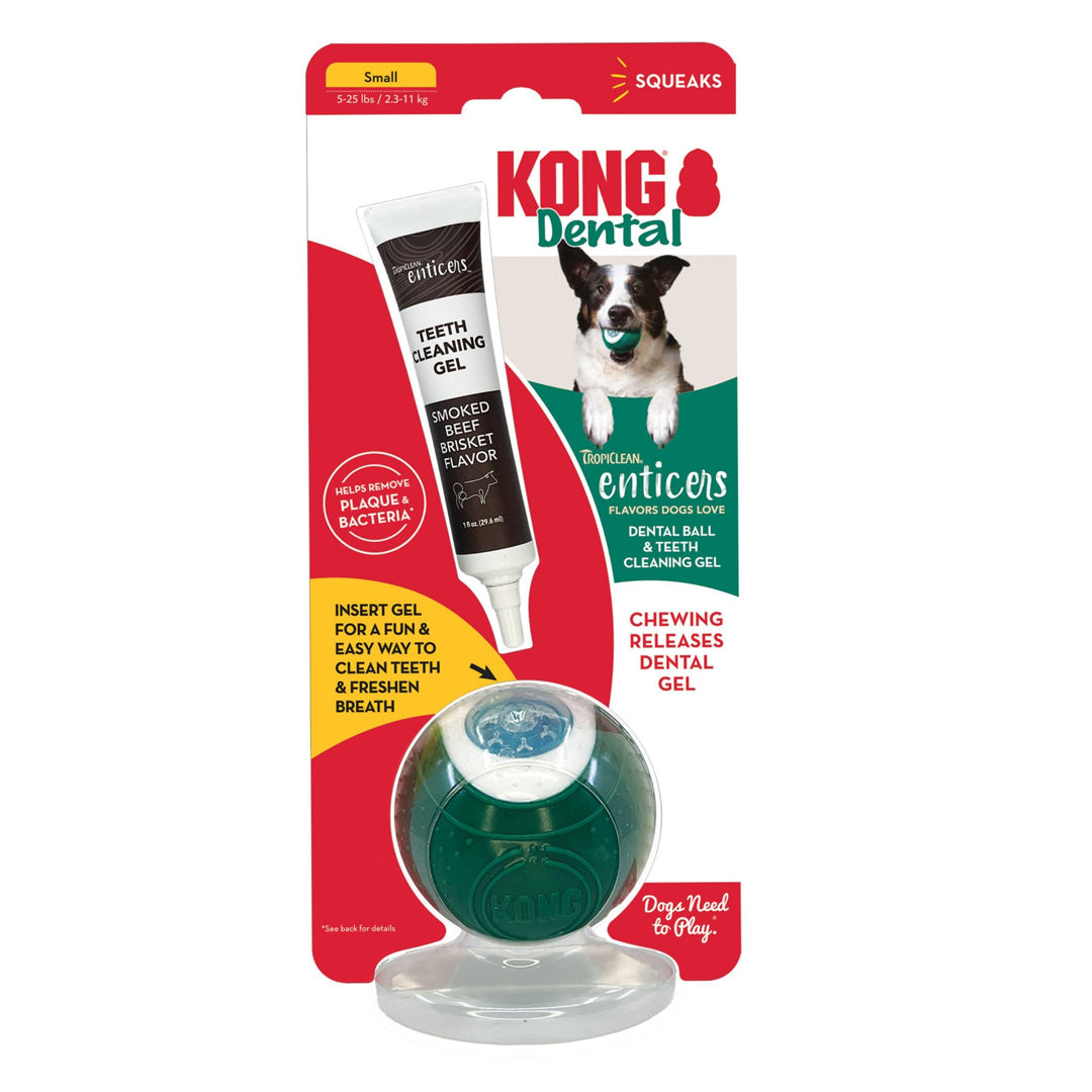 KONG Dental Ball w/Tropiclean Enticer Teeth Cleaning Gel Honey Chicken 1ea/, 1 oz For Small Breeds