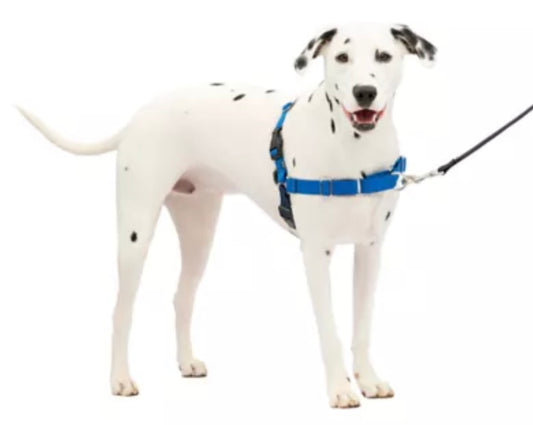PetSafe Easy Walk Harness, No Pull Dog Harness