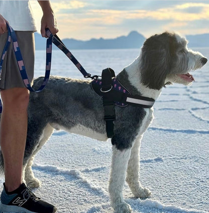 ShawnCo Essential Dog Harness, No-Pull Pet Vest with 3 Leash Clips, No Choke, Reflective, Adjustable and Padded, for Easy Walking and Training for Small, Dogs (USA Flag,S)