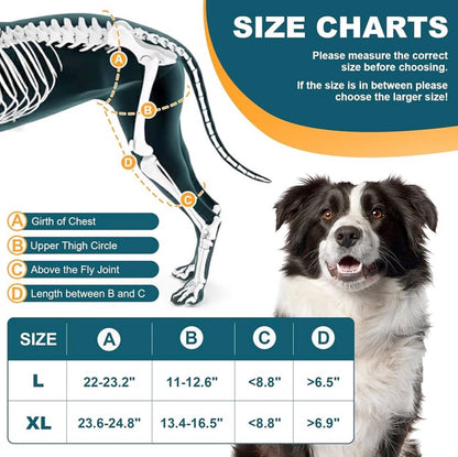 Dog Knee Brace for Torn ACL Hind Leg, Hot/Cold Compress for Patella Dislocation or Osteoarthritis, Cruciate Ligament Injuries, for Medium & Large Dogs(Left Leg size large)