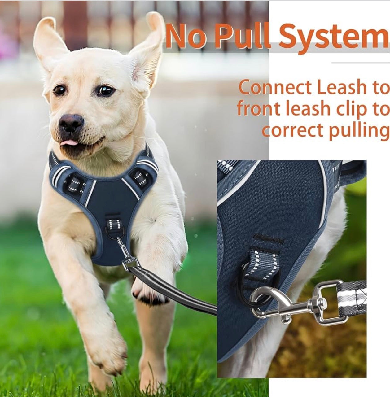 HEELE Dog Harness for Large Dogs No Pull Dog Vest Harness for Large Dog with Soft Padded Handle Reflective for Outdoor Training, Royal Blue, Size L: Neck 46-66cm(18-26in), Chest 43-86cm(17-34in).