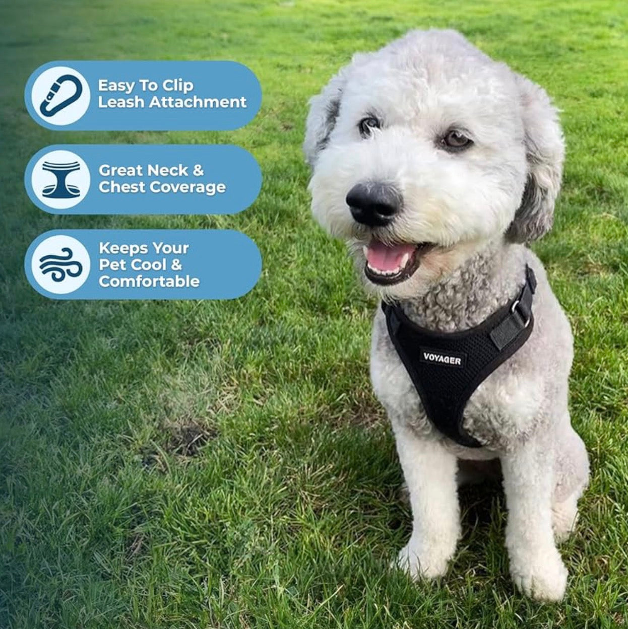 Voyager Step-in Pet Harness        (Chest 15- 18’’)- All Weather Mesh, Adjustable Step in Harness for Cats and Dogs by Best Pet Supplies - Black, S