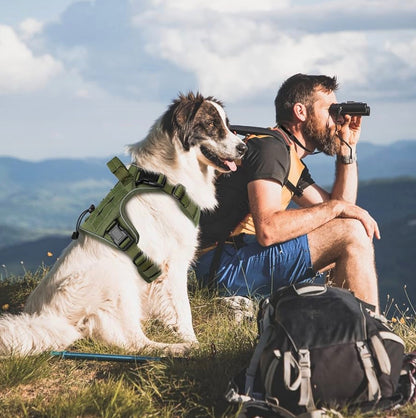 WINGOIN Green Tactical Dog Harness for Medium Dogs, size M: 30-50 lbs (Chest:24-28",Neck:17-19") Heavy Duty No Pull Dog Harness with Handle, Adjustable Reflective Military K9 Pet Vest for Pitbull, Female, Male, Walking, Training, Hunting (M)