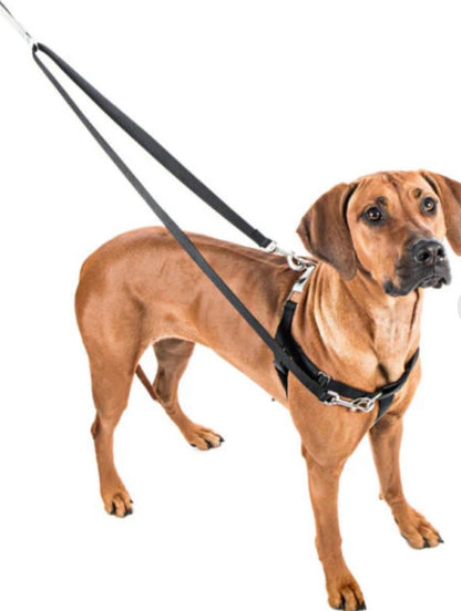 Red Freedom No-Pull Dog Harness with euro leash