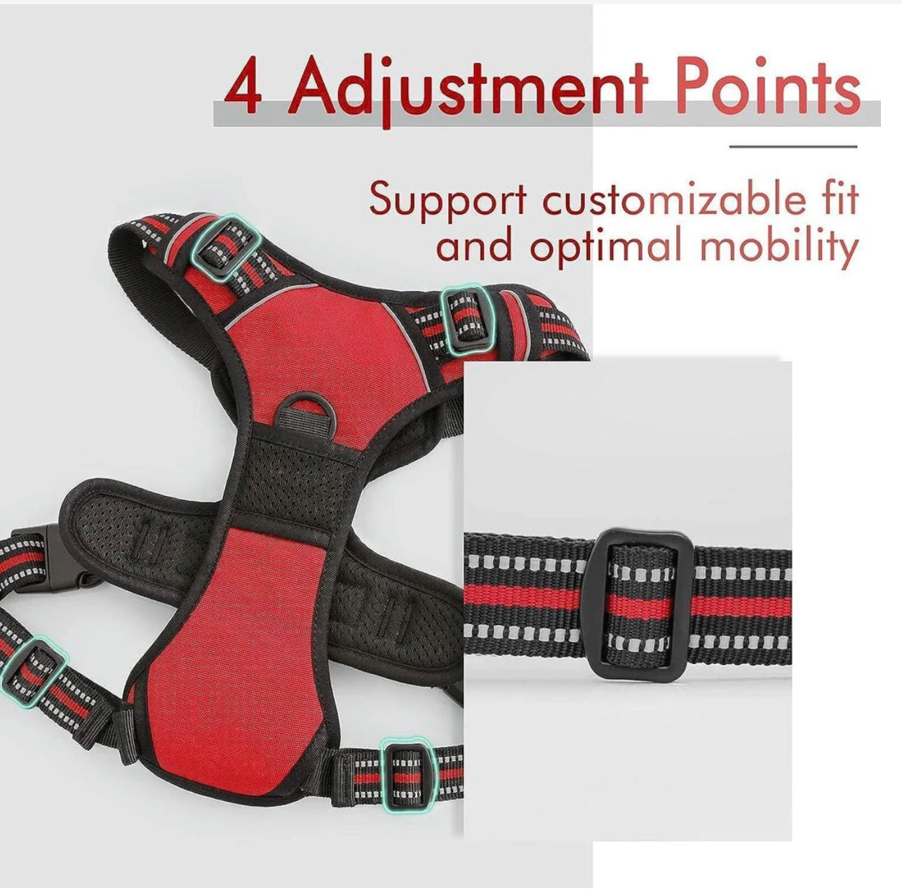 Rabbitgoo Classic Fit No Pull Dog Harness