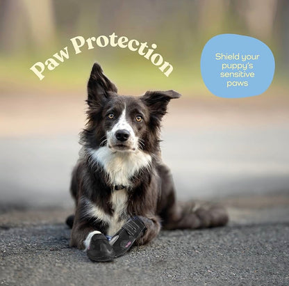 Pit pet Waterproof Dog Shoes -        Size 5: 2.44"Width 2.8"Length Stylish Designed Shoes for Dogs - Dog Boots with Non-Slip Rubber Bottom Protects Paw from Hot or Cold Pavement, Dog Booties with Reflective Straps for Dogs Safety, Puppy Shoes.