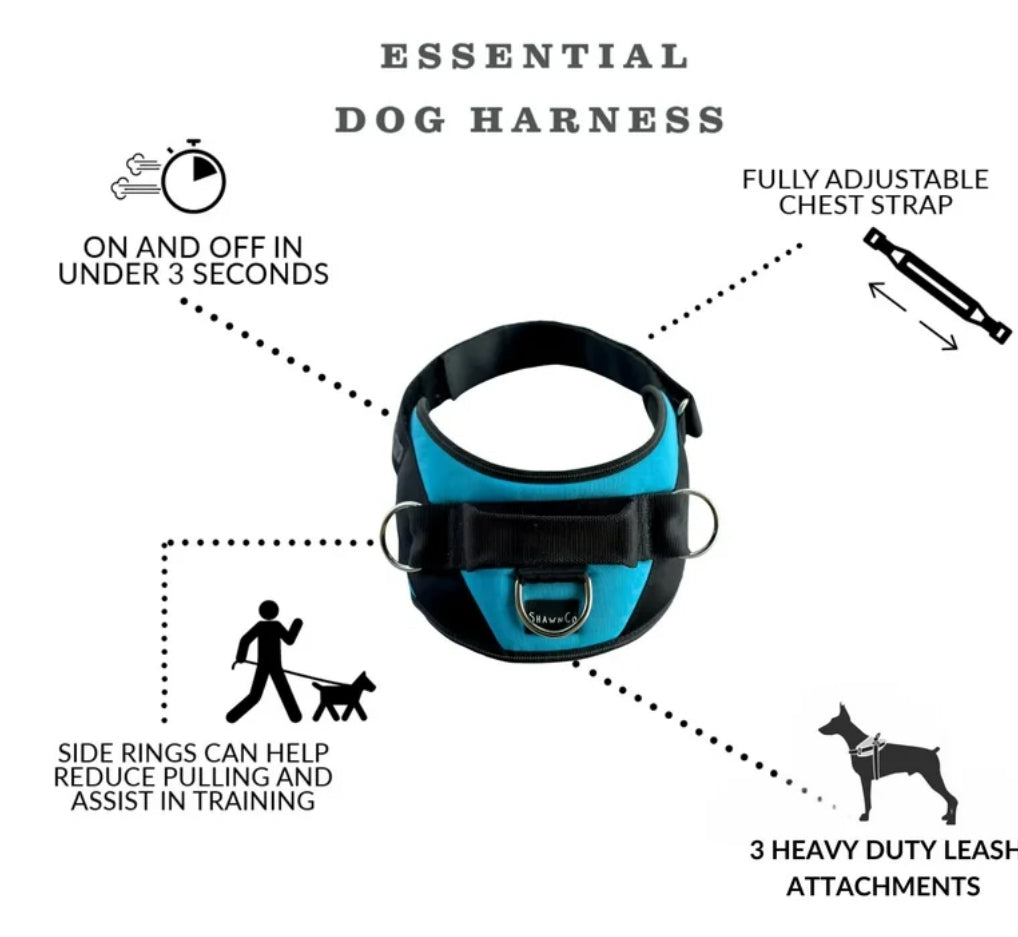 Shawn Co Essential Dog Harness, (size Small) No-Pull Pet Vest with 3 Leash Clips, No Choke, Reflective, Adjustable and Padded, for Easy Walking and Training for Small Dogs (Oceanic Blue with sharks)