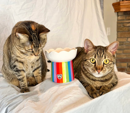 "SOMEWHERE OVER THE RAINBOW" CAT BOWL