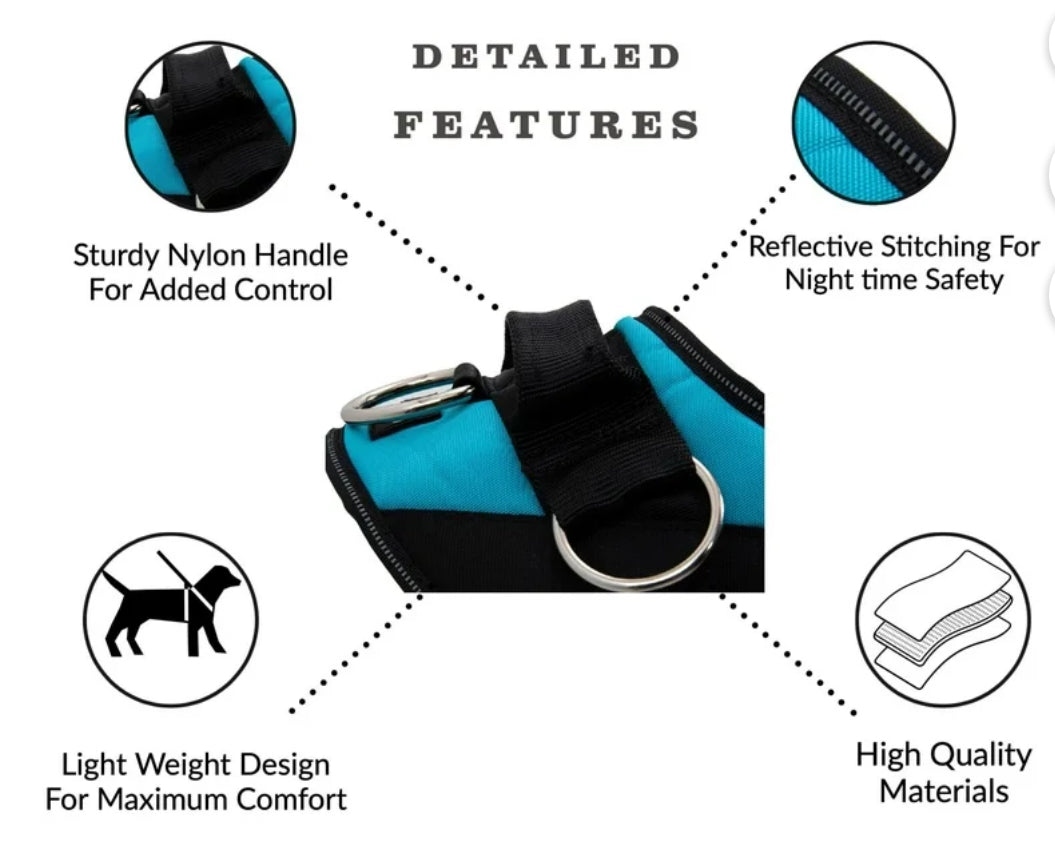 Shawn Co Essential Dog Harness, (size Small) No-Pull Pet Vest with 3 Leash Clips, No Choke, Reflective, Adjustable and Padded, for Easy Walking and Training for Small Dogs (Oceanic Blue with sharks)
