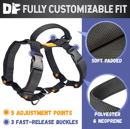 DF pet MARTINGALE HARNESS & DOUBLE-ENDED LEASH WALK KIT - BLACK (Size Large)