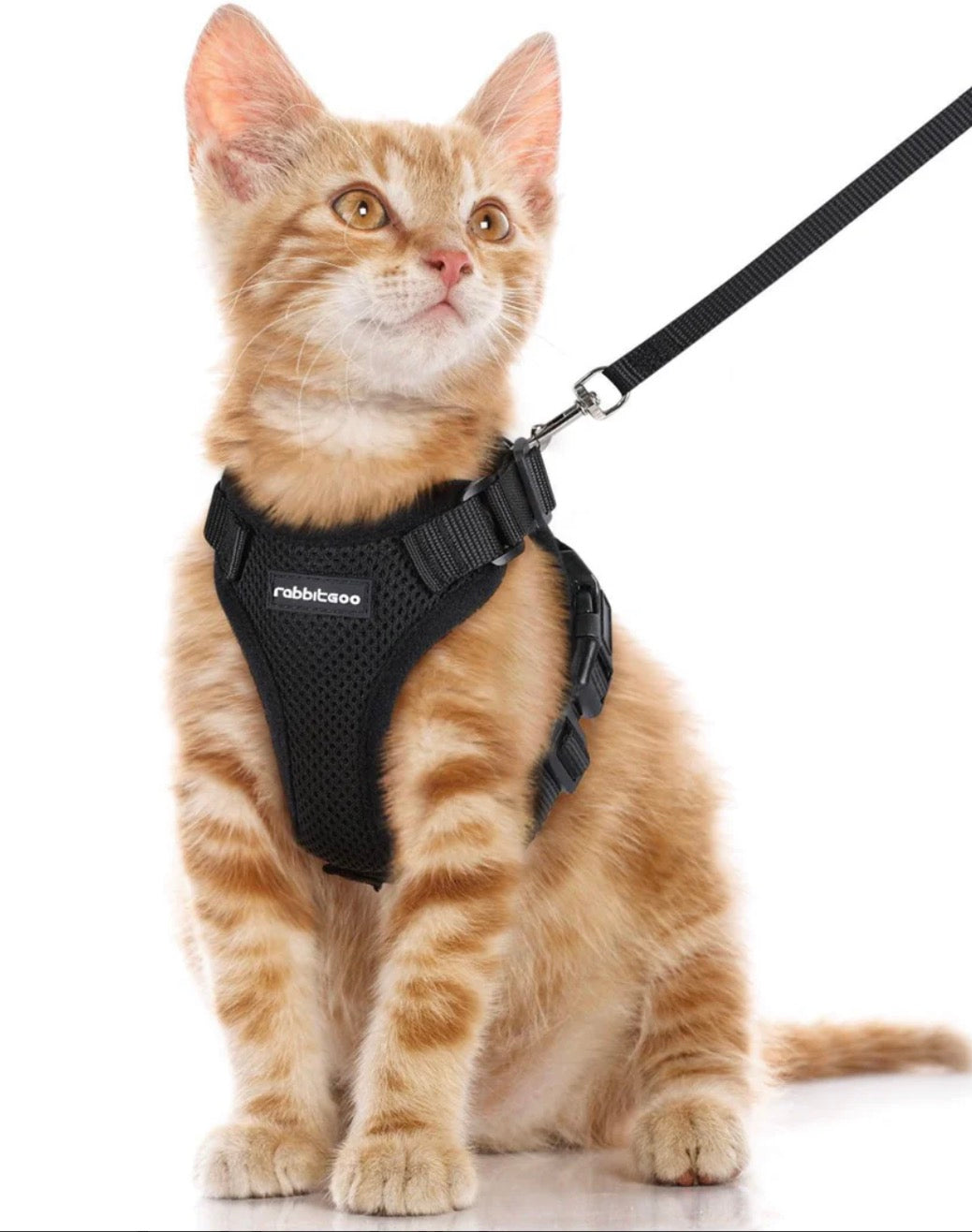 Rabbitgoo Classic Adjustable Cat Harness And Leash Set (Size XS)