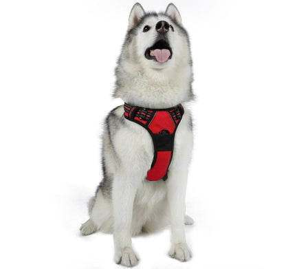 Rabbitgoo Classic Fit No Pull Dog Harness