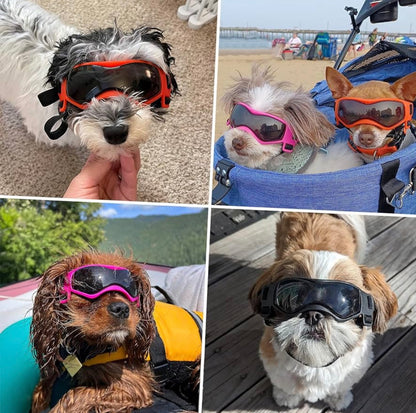 PETLESO Dog Goggles Small Breed, Dog Sunglasses UV Protection Puppy Eyewear for Small Pet Outdoor Riding Driving, Orange S