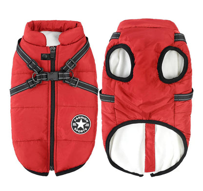 Winter Jacket For Dogs by Fashion Sports xxl can fit a small shihtzu or similar breeds Xl fits Maltese or similar breeds