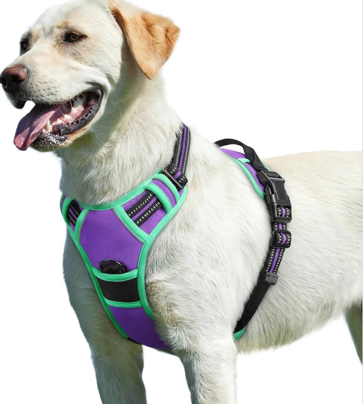 Eagloo Dog Harness for Large Dogs, chest girths between 15-35.4 inches No Pull Service Vest with Reflective Strips and Control Handle, Adjustable and Comfortable for Walking, No Choke Pet Harness with 2 Metal Rings, Purple & Green, L