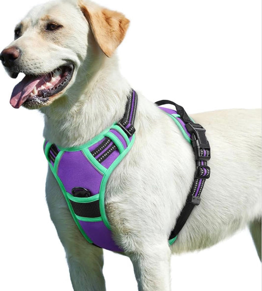 Eagloo Dog Harness for Large Dogs, chest girths between 15-35.4 inches No Pull Service Vest with Reflective Strips and Control Handle, Adjustable and Comfortable for Walking, No Choke Pet Harness with 2 Metal Rings, Purple & Green, L