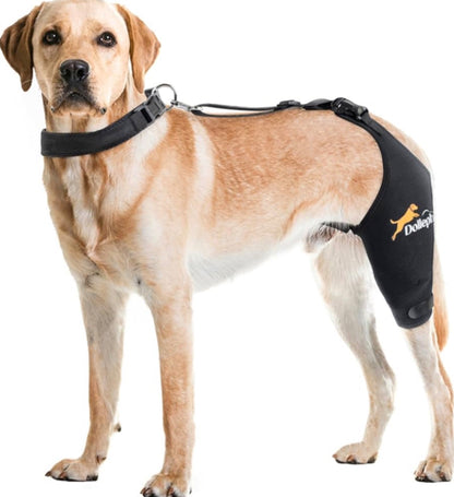 Dog Knee Brace for Torn ACL Hind Leg, Hot/Cold Compress for Patella Dislocation or Osteoarthritis, Cruciate Ligament Injuries, for Medium & Large Dogs(Left Leg size large)