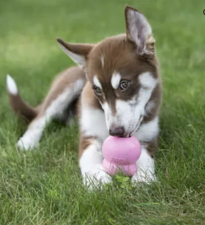 KONG® Easy Treat™ Dog Treat - Puppy Recipe