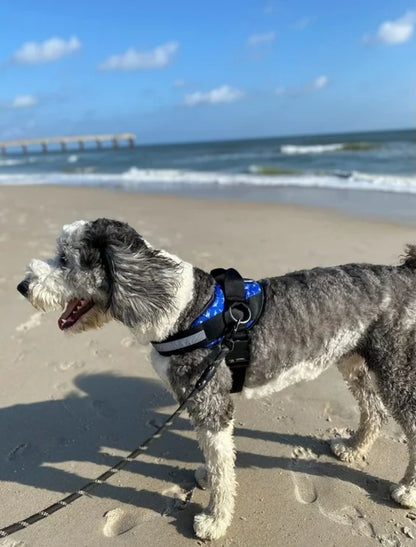 Shawn Co Essential Dog Harness, (size Small) No-Pull Pet Vest with 3 Leash Clips, No Choke, Reflective, Adjustable and Padded, for Easy Walking and Training for Small Dogs (Oceanic Blue with sharks)