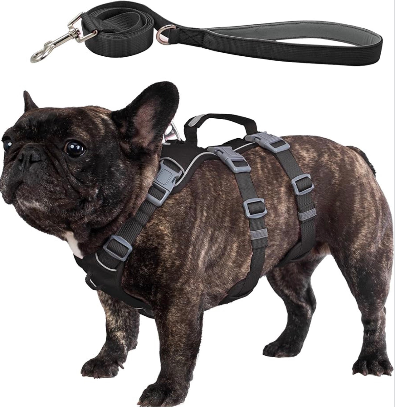 Wuffley Escape Proof Dog Harness and Leash Set, Lightweight Dog Harness with Lift and Assist Handle, No Pull Reflective Pet Vest for Small Medium Dogs, Ideal for Puppy Walking and Training (Black, M)