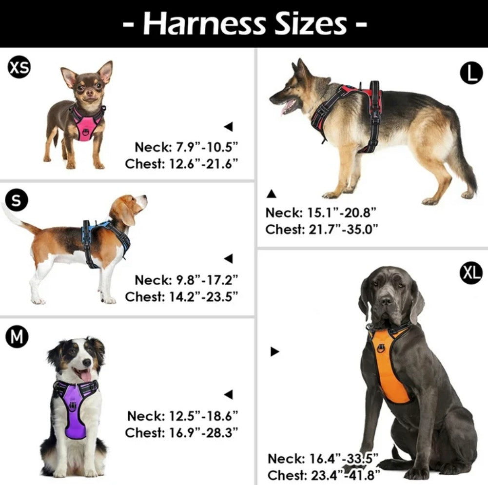 PHOEPET No Pull Dog Harness Medium Reflective Front Clip Vest with Handle, Adjustable 2 Metal Rings 2 Buckles,Grey