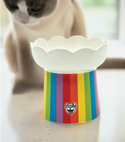 "SOMEWHERE OVER THE RAINBOW" CAT BOWL
